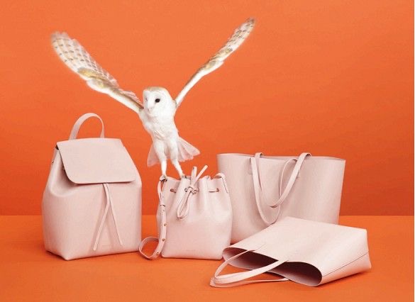 Birds: Mansur Gavriel, White Barn Owl