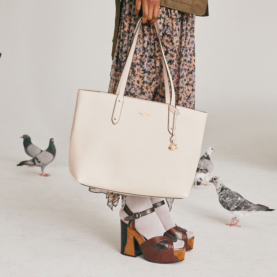 Birds: Coach, Colorful Pigeons