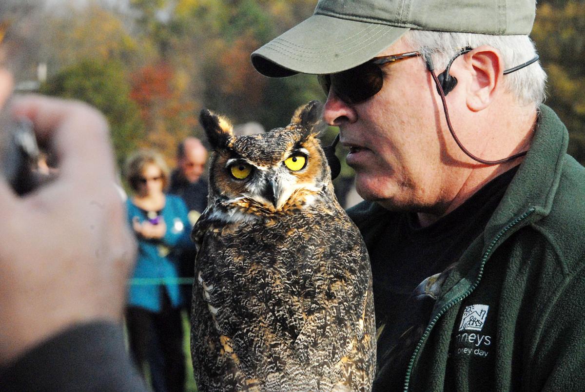 Birds: Green Chimneys, Eagle Owl