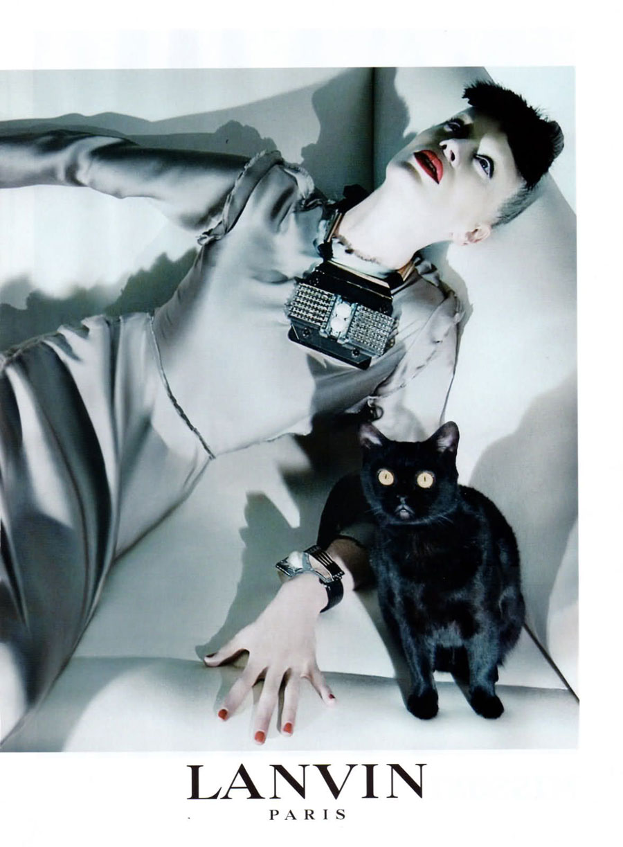 Cats: Lanvin, Bombay Black Cat