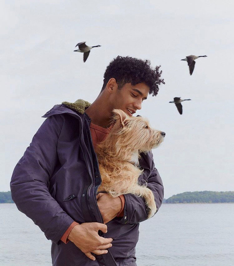 Dogs: Madewell, Mutt