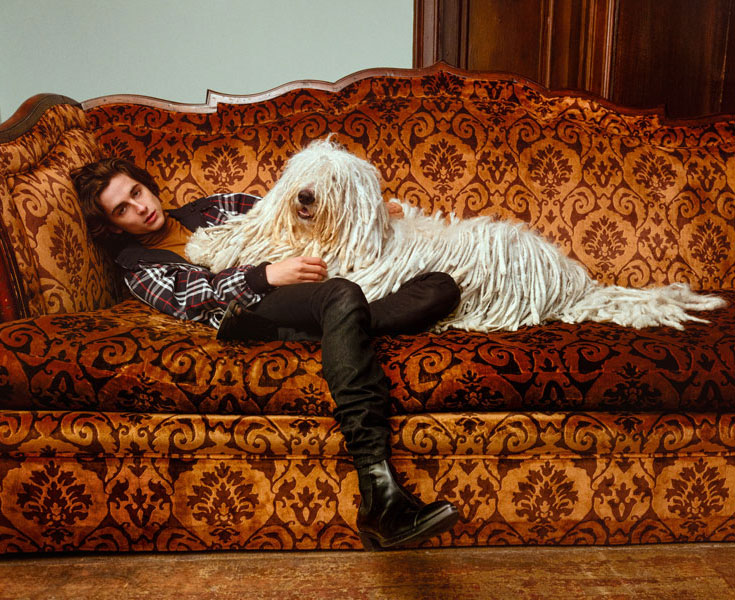 Dogs: GQ Magazine, Timothee Chalamet, Komondor