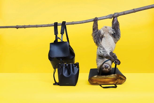 Exotic Animals: Mansur Gavriel, Sloth