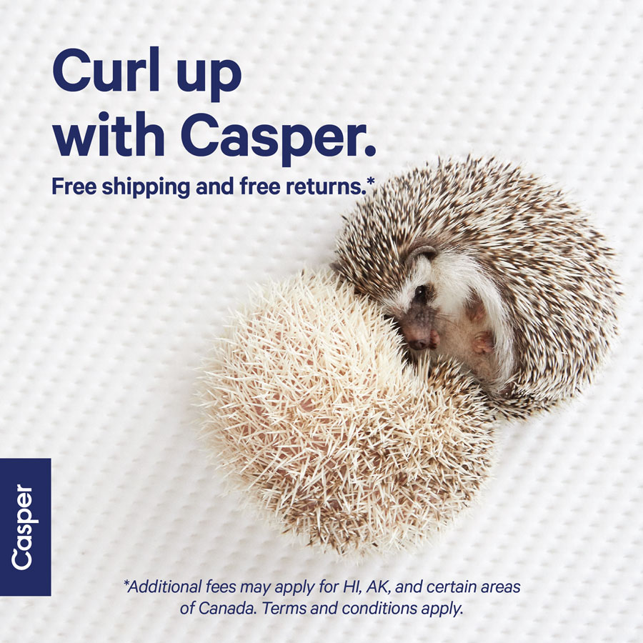 Exotic Animals: Casper, Hedgehogs