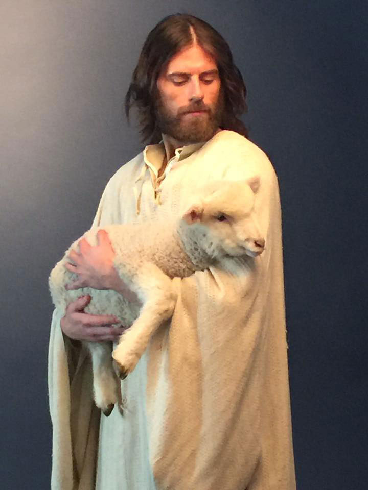 Farm Animals: Simple Grace, Lamb