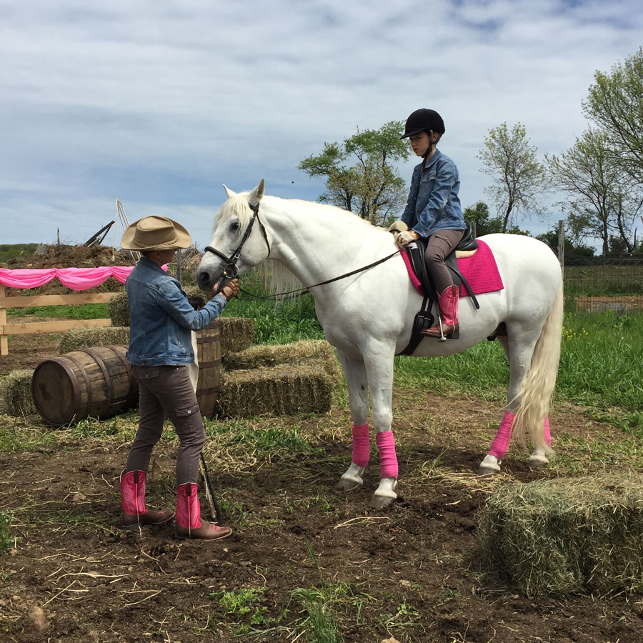 Horses: Ally Bank, White Horse