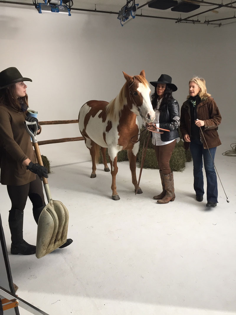 Horses: Brookside Chocolates, Paint Horse