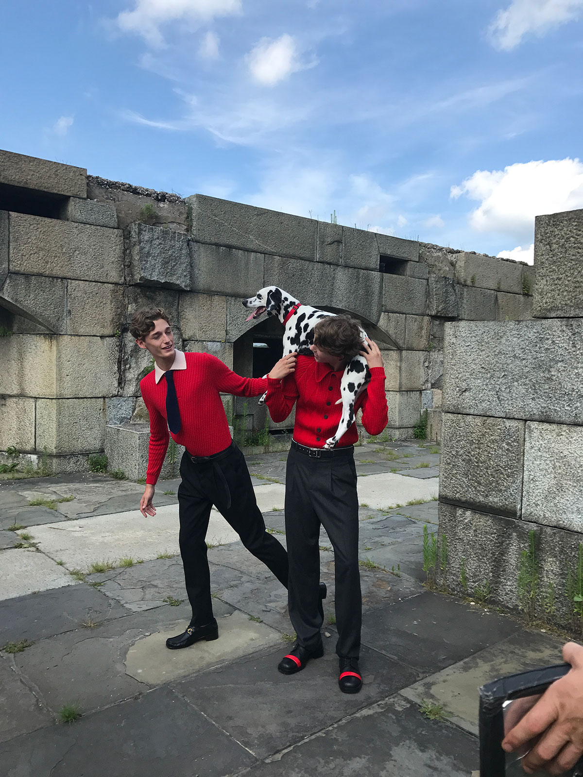 ST Magazine, Dalmatian dog