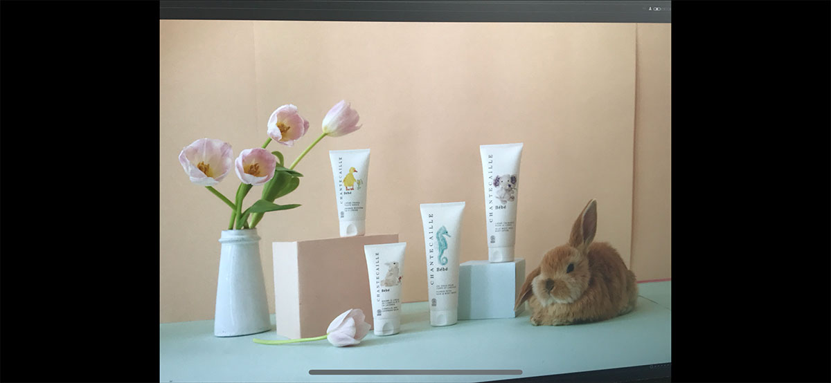 Chantecaille, rabbit, bunny