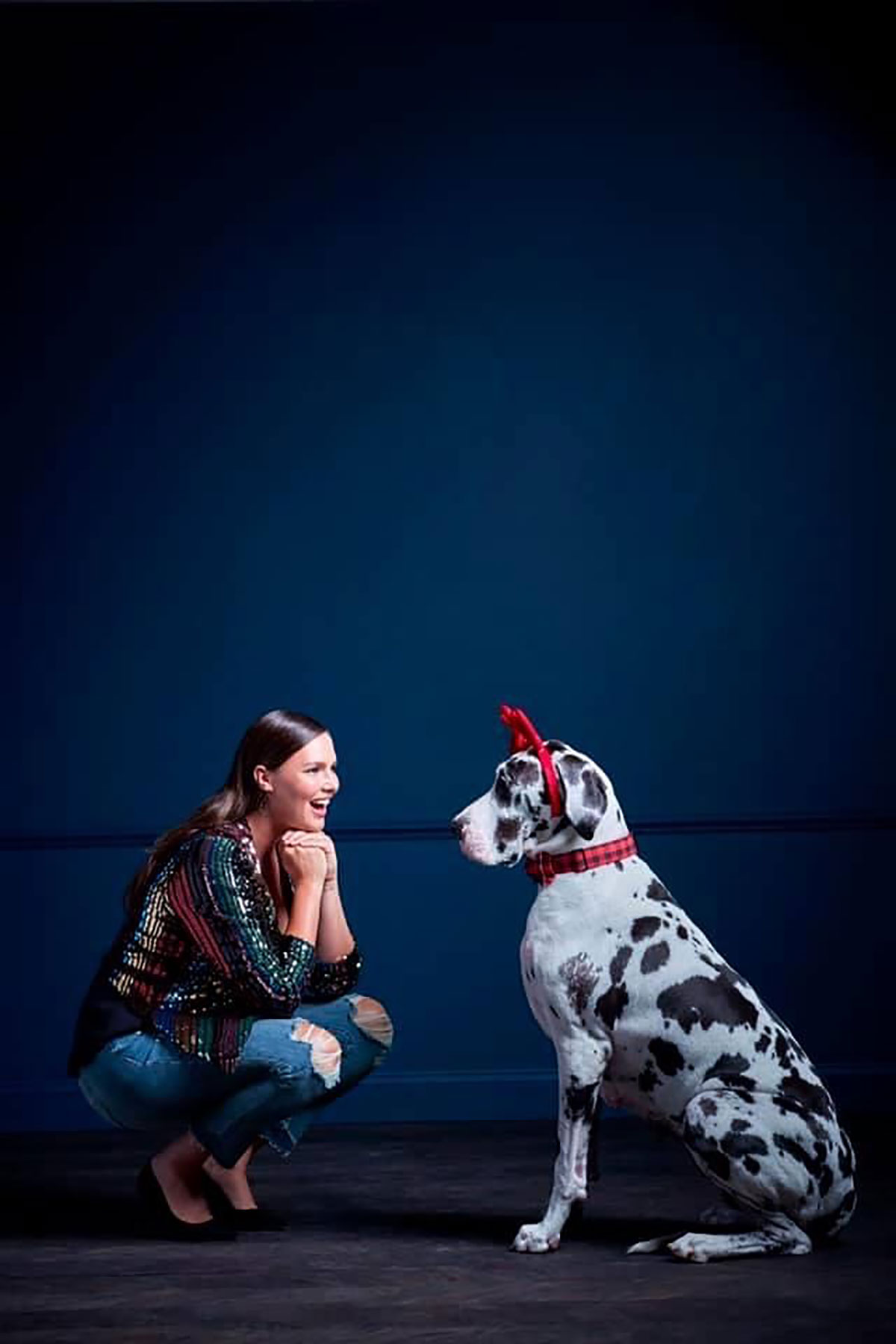 Torrid, Great Dane dog