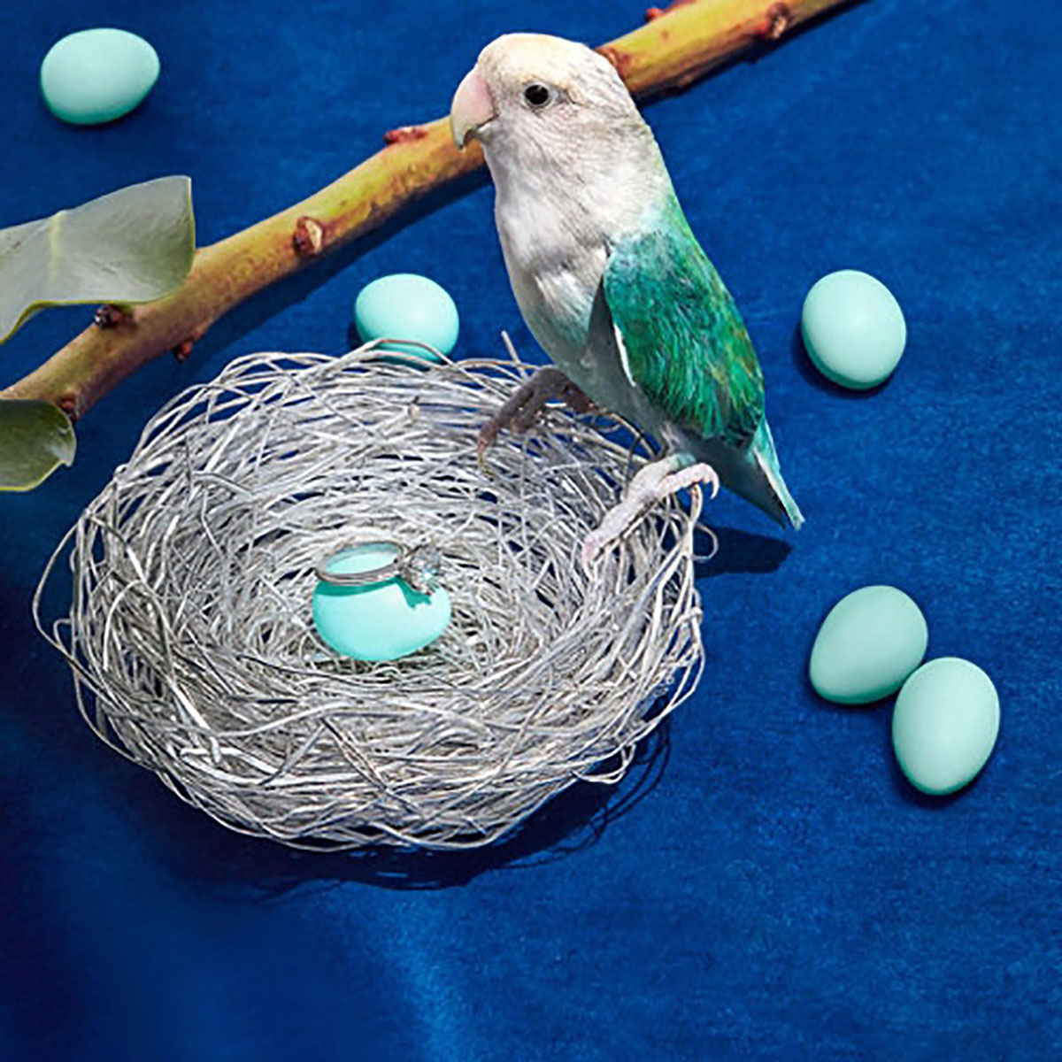 Tiffany & Co, blue bird