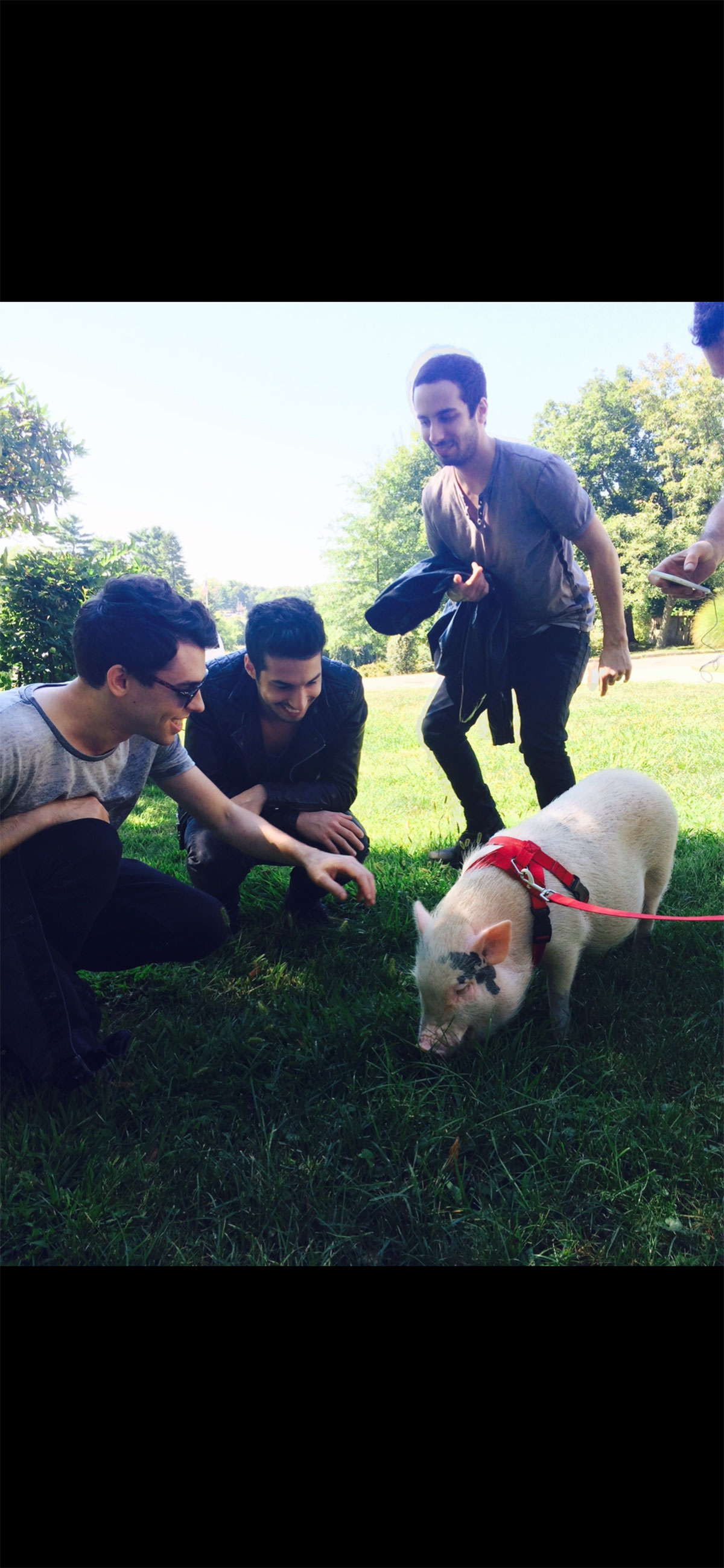 Cash Cash Music video, Pig