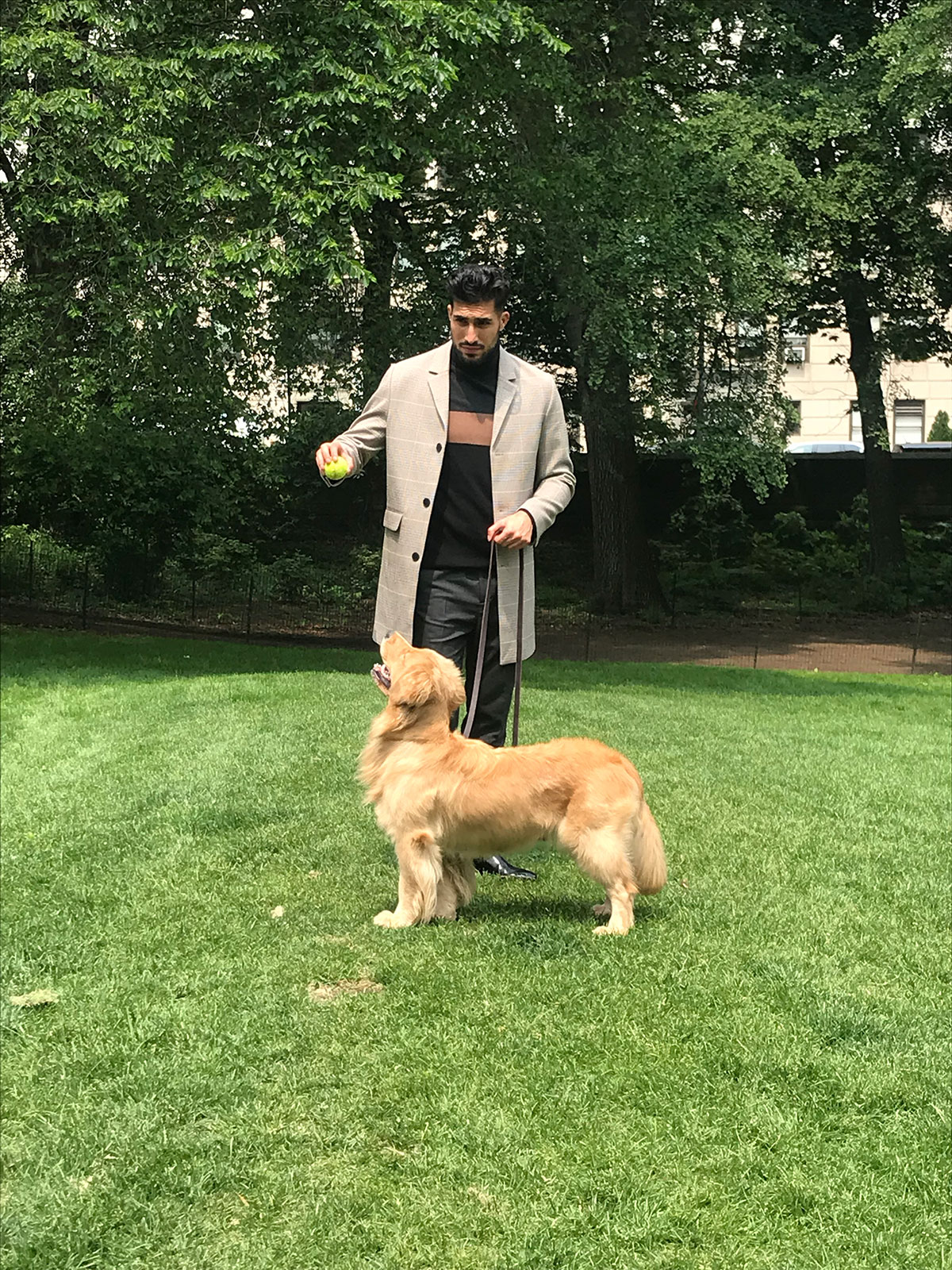 H&M, Emre Can, Golden Retriever Dog