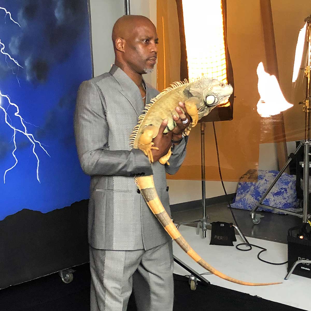 GQ, DMX, Iguana, Lizard