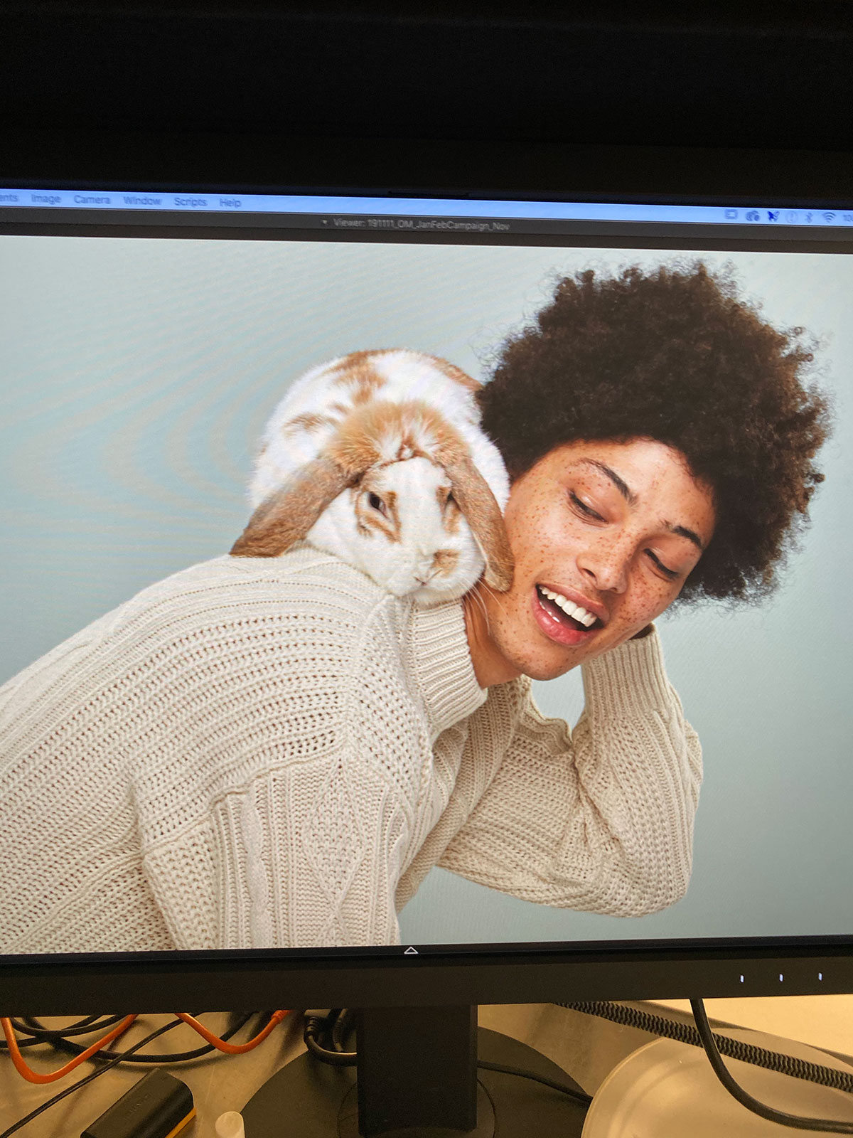 E.L.F. Cosmetics, rabbit, bunny