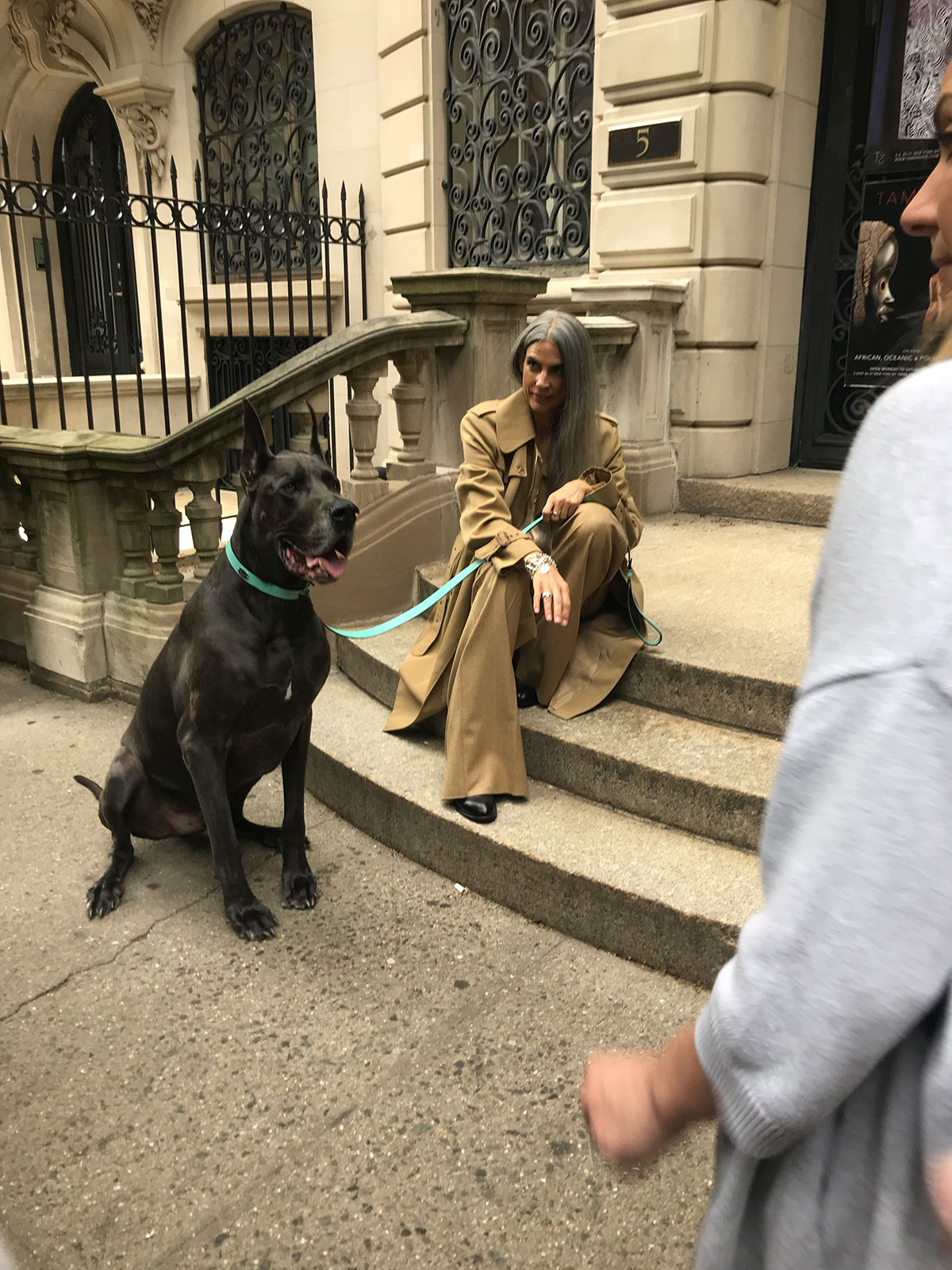 Tiffany & Co, Great Dane Dog