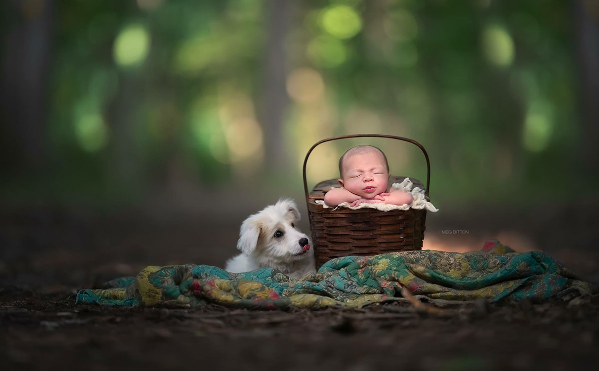 Meg Bitton, puppy, dog, baby