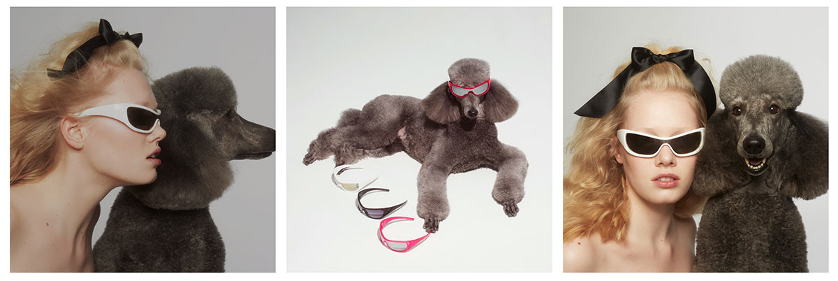 Le Spec, Silver Poodle Dog