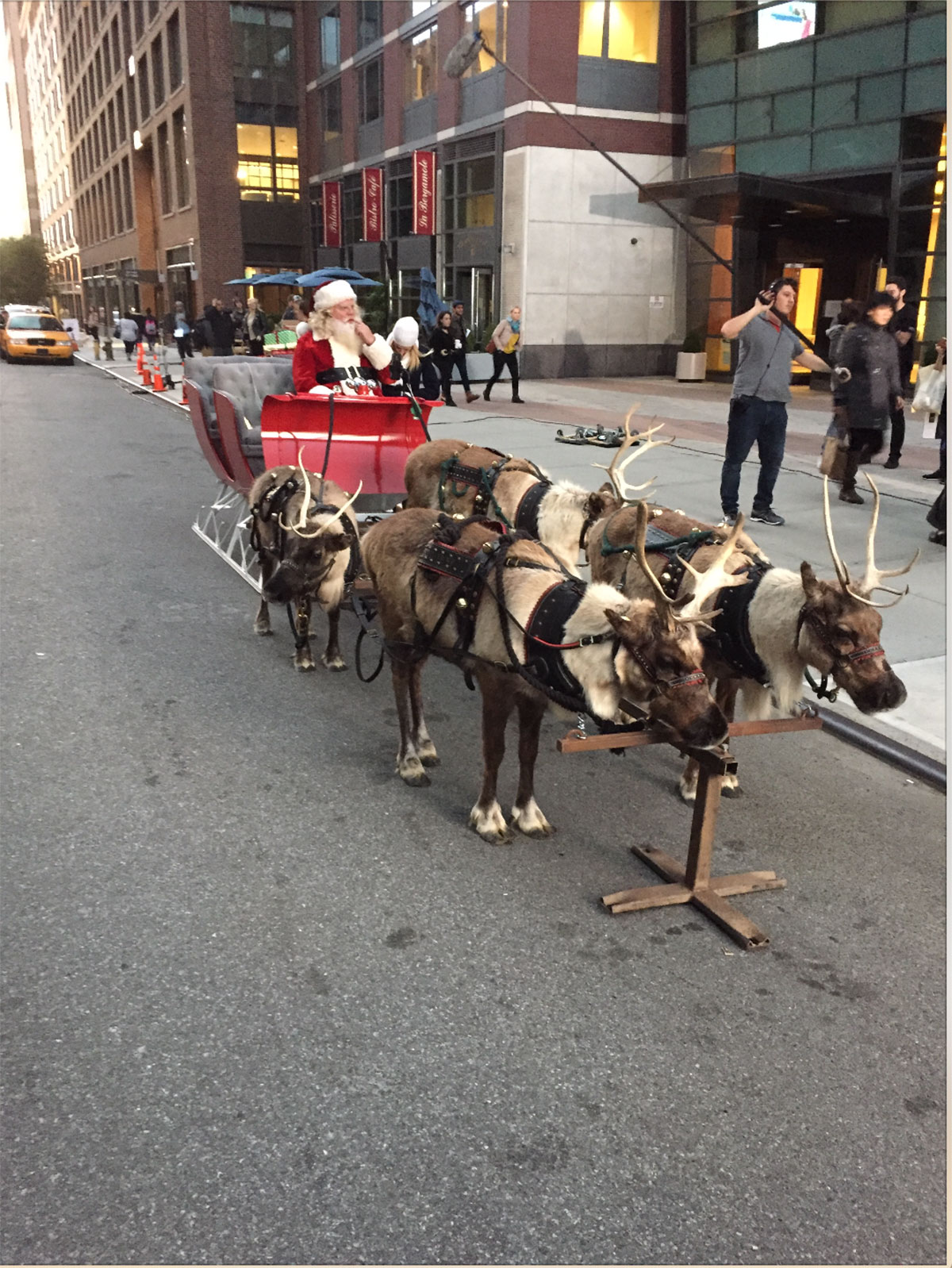 Geico, santa, reindeer