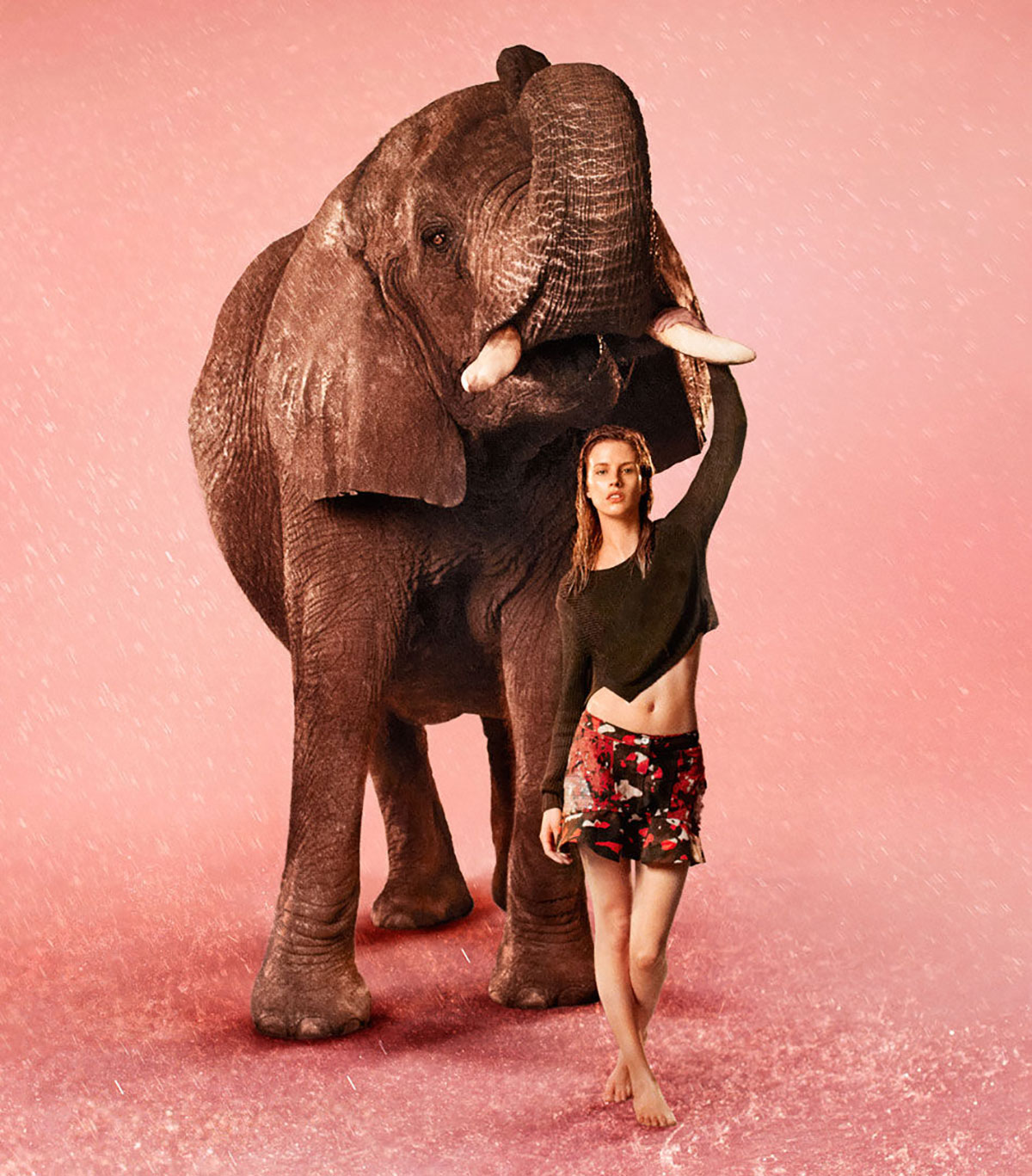 Edun, elephant