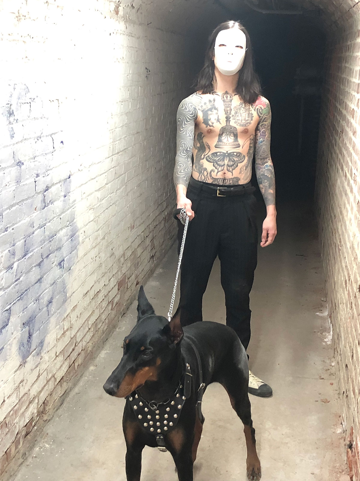 Cage the Elephant, Doberman dog