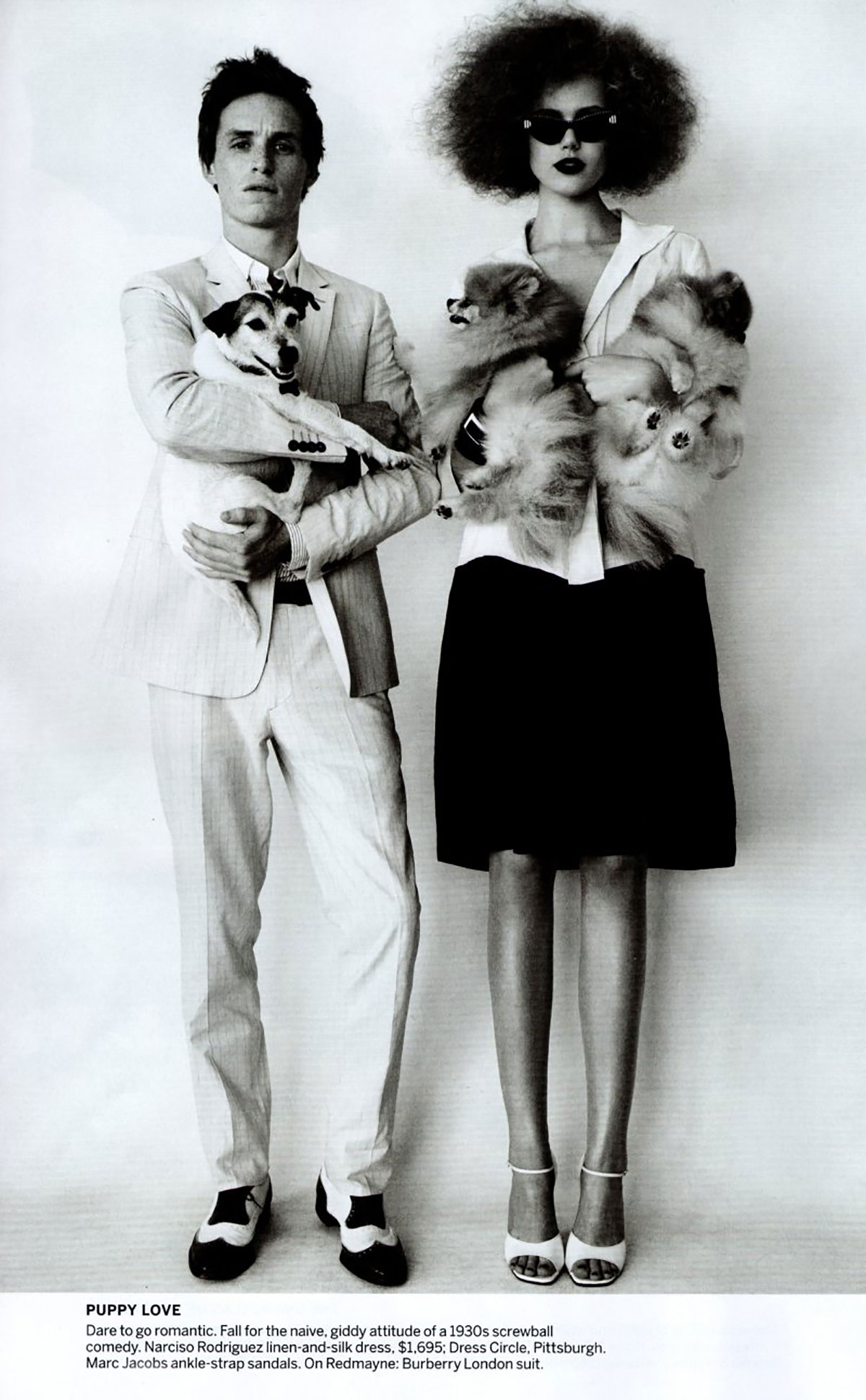 Vogue, Pomeranian, Jack Russell, JRT, dogs