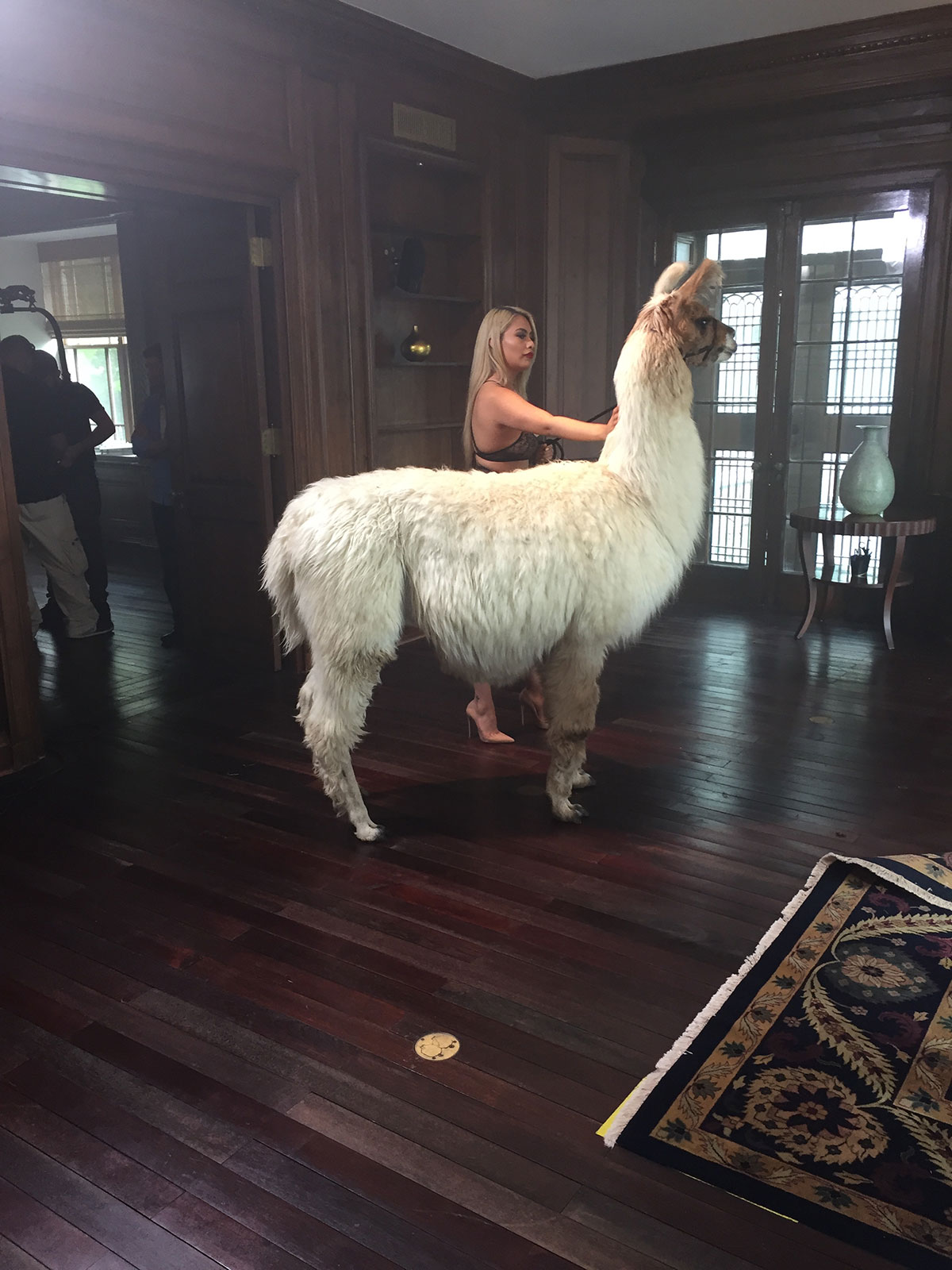 Rob Soul music video, Llama