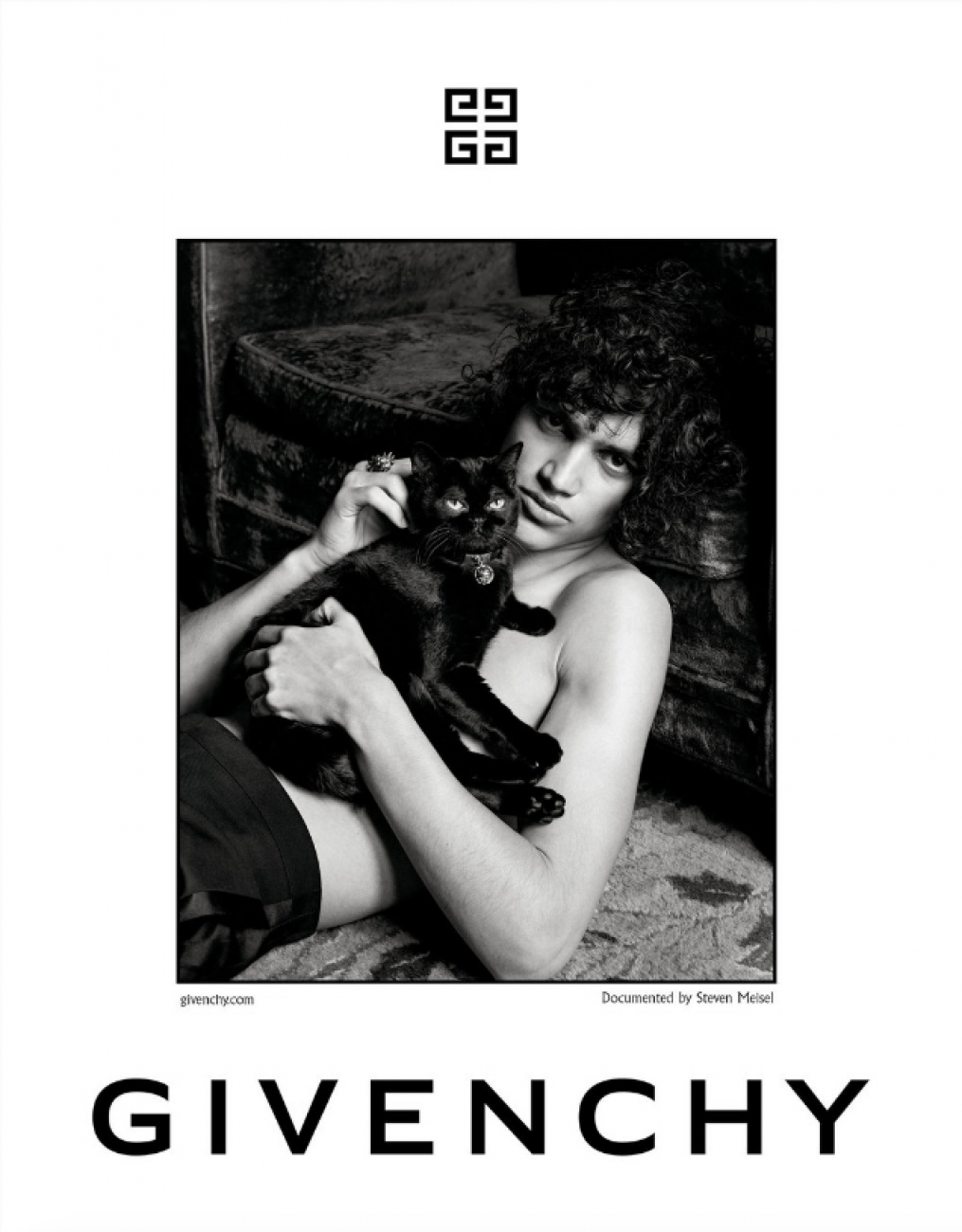 Givenchy, cats