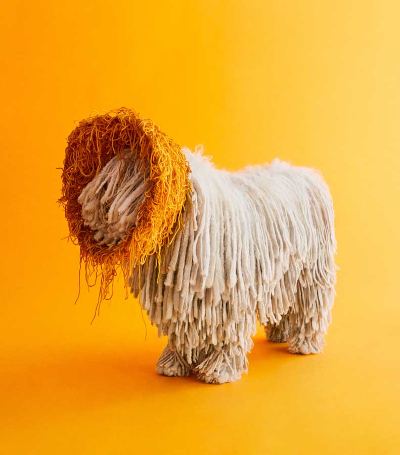 Cone of Shame, Winnie Au, Komonodor