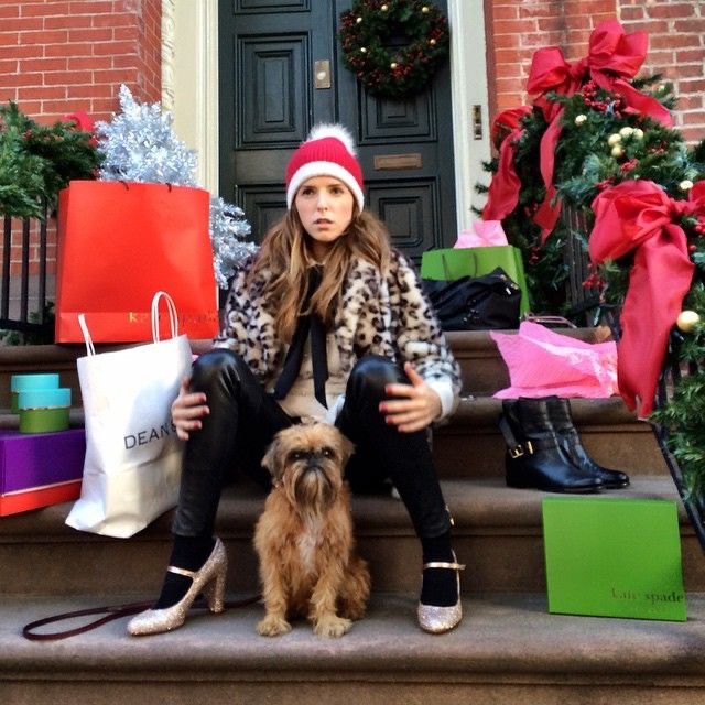 Kate Spade, Anna Kendrick, Brussels Griffon, dog in bag