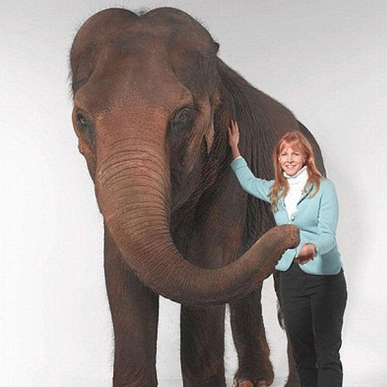 Cathryn Long: Lead Handler